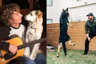 Country Music Dogs