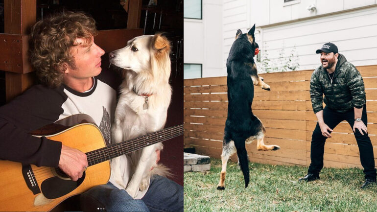 Country Music Dogs